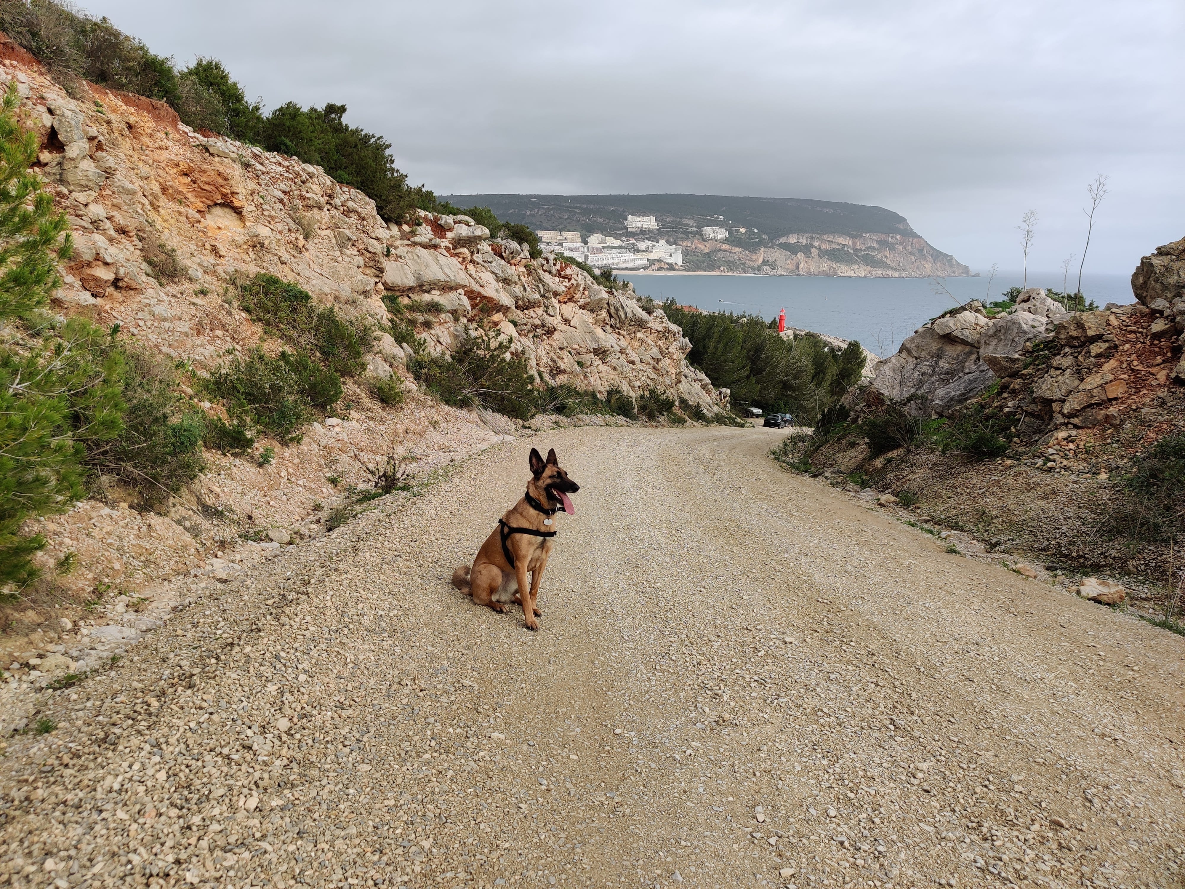 Sushi on a hiking trail in Sesimbra